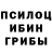 Псилоцибиновые грибы Magic Shrooms Dum Ihu