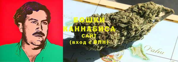 гидра Верхний Тагил