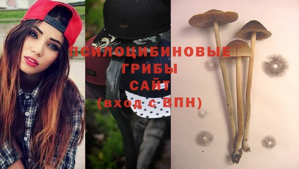 крисы Верея