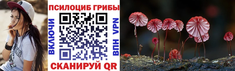 купить наркотик  Карабулак  omg ТОР  Галлюциногенные грибы мицелий 